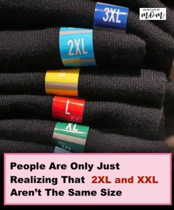 People Shocked After Figuring Out That XXL and 2XL Aren’t The Same Size