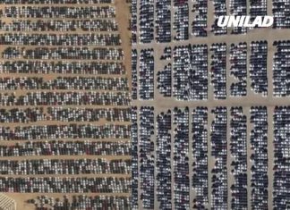 Disturbing reason why thousands of Audis were sitting abandoned in a desert after $36,000,000,000 scandal