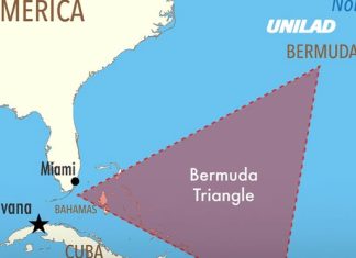 Scientists claim they’ve finally solved the mystery of the Bermuda Triangle with shocking theory
