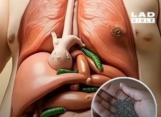 Jaw dropping simulation shows what happens to your body when you eat popular superfood everyday