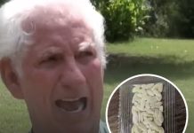 Arkansas man planted seeds from ‘mystery parcel’ delivered from China to grow huge unstoppable fruit