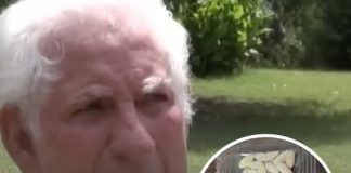 Arkansas man planted seeds from ‘mystery parcel’ delivered from China to grow huge unstoppable fruit