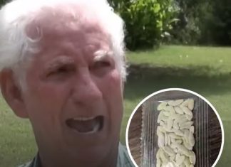 Arkansas man planted seeds from ‘mystery parcel’ delivered from China to grow huge unstoppable fruit