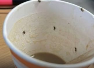 21-year-old woman left fighting for her life after drinking coffee she bought at airport