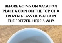 The Freezer Coin Trick: A Simple Hack to Keep Your Food Safe