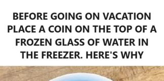 The Freezer Coin Trick: A Simple Hack to Keep Your Food Safe