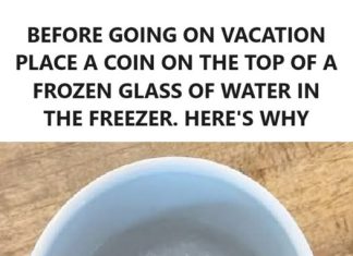 The Freezer Coin Trick: A Simple Hack to Keep Your Food Safe