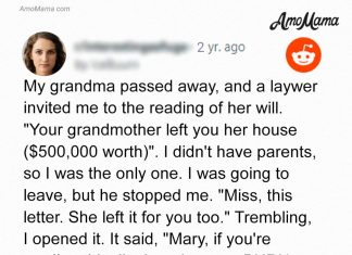 My Inheritance Letter Said ‘Burn Everything in the Attic,’ and Only When I Ignored It Did I Understand Why – Story of the Day