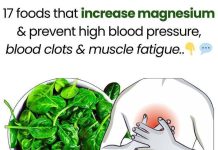 17 Foods That Increase Magnesium And Prevent High Blood Pressure, Blood Clots And Muscle Fatigue