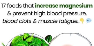 17 Foods That Increase Magnesium And Prevent High Blood Pressure, Blood Clots And Muscle Fatigue
