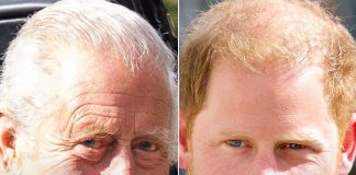 Prince Harry Reunites with King Charles for First Time in 19 Months