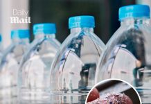 Bottled water ‘contains dangerous levels of cancer-causing microplastics’