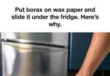 Using Borax and Wax Paper for Pest Control