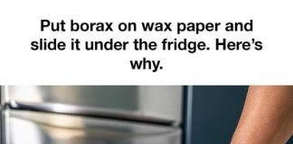 Using Borax and Wax Paper for Pest Control