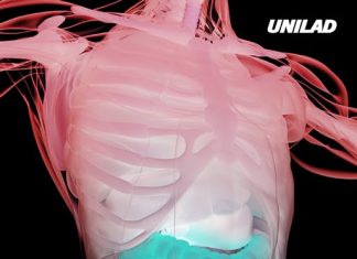 Doctor reveals exactly what happens to your body when you stop eating for three days