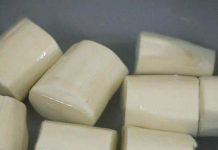 World’s Deadliest Food