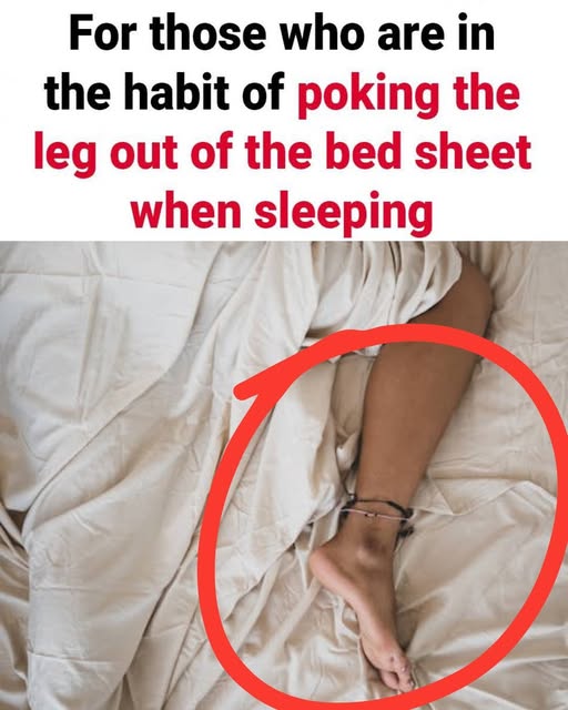 leg