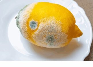 How to Keep Lemons Fresh Longer and Prevent Mold