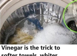 HOW VINEGAR TURNED MY STIFF TOWELS INTO SOFT CLOUDS — AND FIXED MY LAUNDRY PROBLEMS TOO