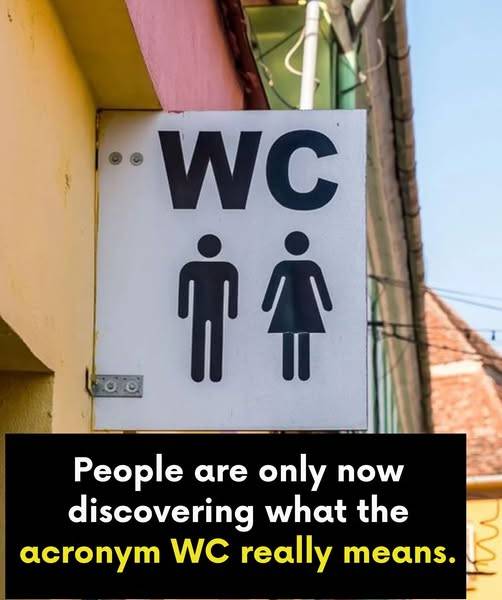 wc