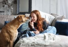 “15 DOG BREEDS BELIEVED TO BE THE MOST LOYAL: If you have THEM, you have security, because they will protect you with their life.”