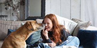 “15 DOG BREEDS BELIEVED TO BE THE MOST LOYAL: If you have THEM, you have security, because they will protect you with their life.”