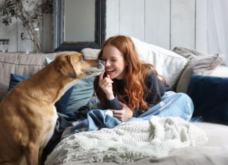 “15 DOG BREEDS BELIEVED TO BE THE MOST LOYAL: If you have THEM, you have security, because they will protect you with their life.”