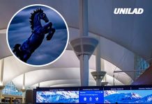 Inside the creepy US airport that’s a magnet for conspiracy theories from a killer horse to secret illuminati bunkers