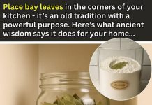 Place Bay Leaves in the Corners of Your Kitchen – Here’s the Ancient Reason Why