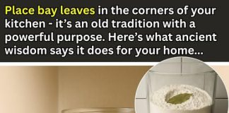 Place Bay Leaves in the Corners of Your Kitchen – Here’s the Ancient Reason Why