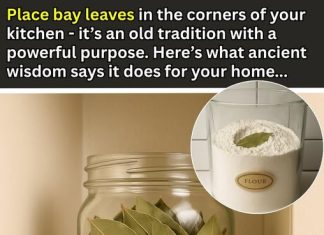 Place Bay Leaves in the Corners of Your Kitchen – Here’s the Ancient Reason Why