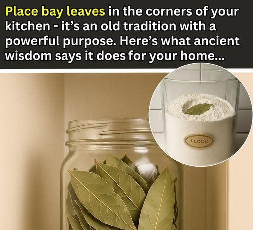 Place Bay Leaves in the Corners of Your Kitchen – Here’s the Ancient Reason Why