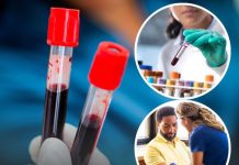 Rare ‘golden blood type’ found in just 50 people in the world could save countless lives as doctors attempt to grow it in lab