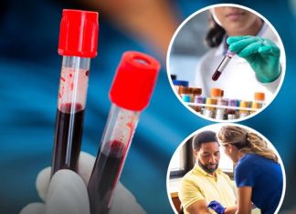 Rare ‘golden blood type’ found in just 50 people in the world could save countless lives as doctors attempt to grow it in lab