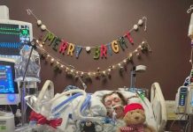 Teenage girl dies after eating brownie a friend gave her