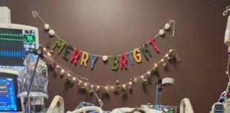 Teenage girl dies after eating brownie a friend gave her