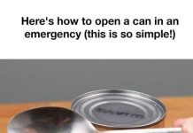 How to open a can in an emergency!