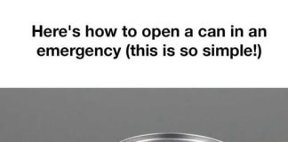 How to open a can in an emergency!
