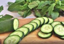 THE DIETARY WARNING: 4 TYPES OF PEOPLE WHO SHOULD DEFINITELY AVOID EATING CUCUMBERS