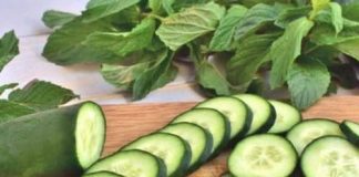 THE DIETARY WARNING: 4 TYPES OF PEOPLE WHO SHOULD DEFINITELY AVOID EATING CUCUMBERS