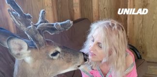 Grandma mauled to death by deer she rescued as police reveal they killed animal