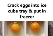 Crack eggs into ice cube tray & put in freezer. Here’s why