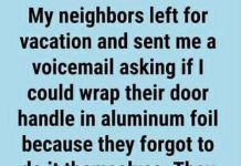 The Strange Request: Wrapping a Door Handle in Aluminum Foil—My Neighbor’s Shocking Reason Stunned Me