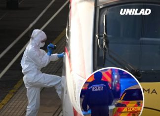 Hero man saved young girl from knife attack on UK train which left 9 people fighting for lives