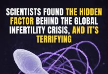 SCIENTISTS DISCOVER DISTURBING HIDDEN CAUSE BEHIND THE GLOBAL INFERTILITY CRISIS