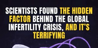 SCIENTISTS DISCOVER DISTURBING HIDDEN CAUSE BEHIND THE GLOBAL INFERTILITY CRISIS