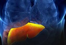 THE SCIENCE-BACKED DIET: 3 SIMPLE FRUITS THAT FIGHT FATTY LIVER, REGULATE SUGAR, AND LOWER CHOLESTEROL