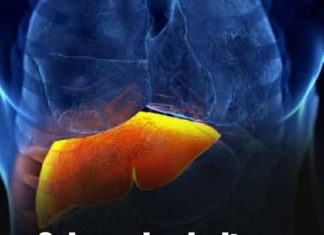 THE SCIENCE-BACKED DIET: 3 SIMPLE FRUITS THAT FIGHT FATTY LIVER, REGULATE SUGAR, AND LOWER CHOLESTEROL