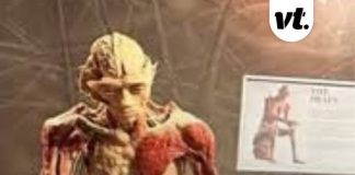 Texas mom explains why she believes body she saw ‘skinned’ in a museum is her son – the museum has responded to her claims