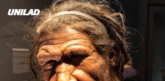 Scientists claim Neanderthals never truly went extinct because of one shocking reason
